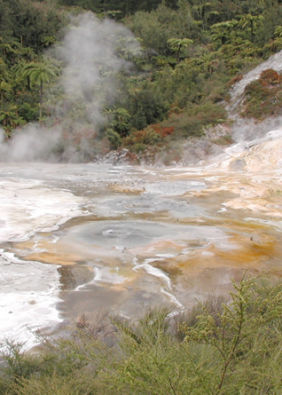 Image of geothermal mud and water