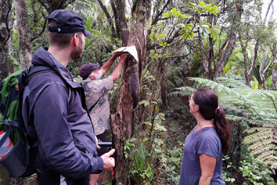 Trappers checking trap lines